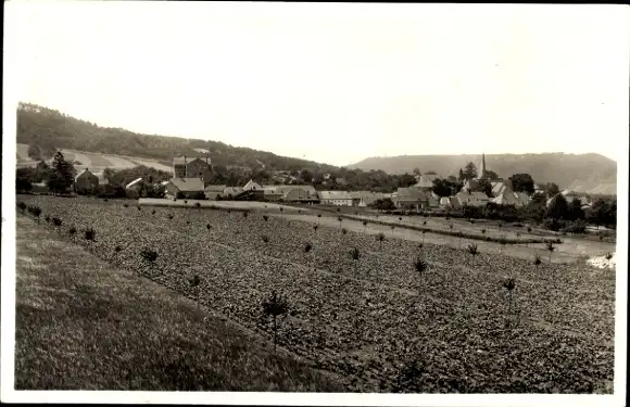 Ak Perl an der Mosel, Panorama
