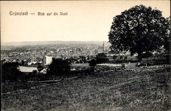 Ak Grünstadt in der Pfalz, Panorama