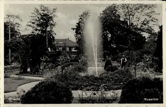 Ak Utrecht Niederlande, Rosarium