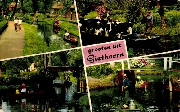 Ak Giethoorn Overijssel Niederlande, Teilansichten, Kanal, Kahn, Kühe