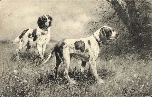 Künstler Litho Zwei Hunde auf Blumenwiese