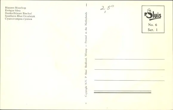 Ak Vogel, Dunkelblauer Bischof