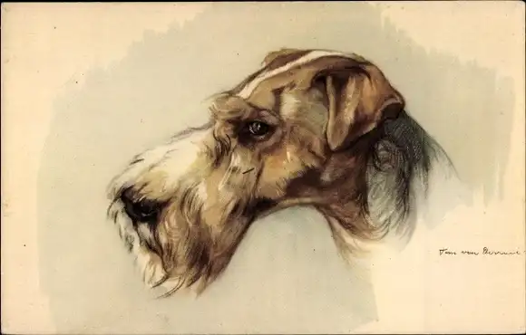 Künstler Ak Terrier, Kopf, Tierportrait, Hund