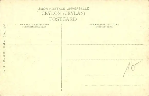 Ak Ceylon Sri Lanka, Krokodiljagd im Katamaran