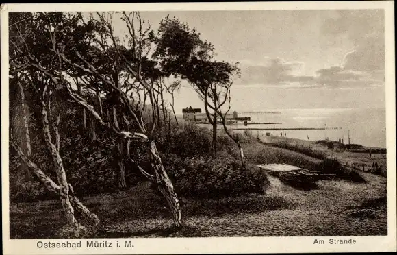 Ak Ostseebad Graal Müritz, Strand