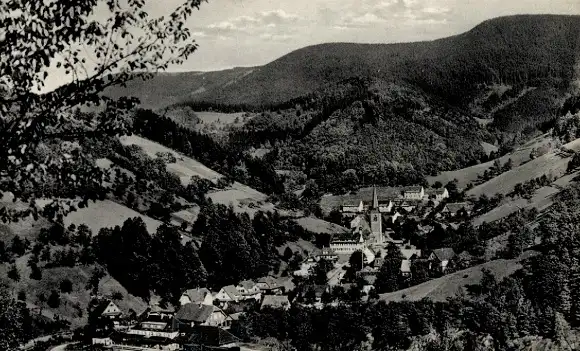 Ak Bad Griesbach im Schwarzwald, Panorama