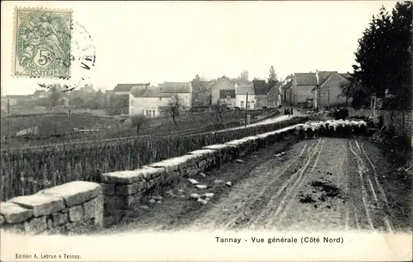 Ak Tannay Nièvre, Vue generale Cote Nord