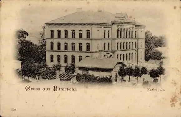 Ak Bitterfeld Sachsen Anhalt, Blick auf die Realschule