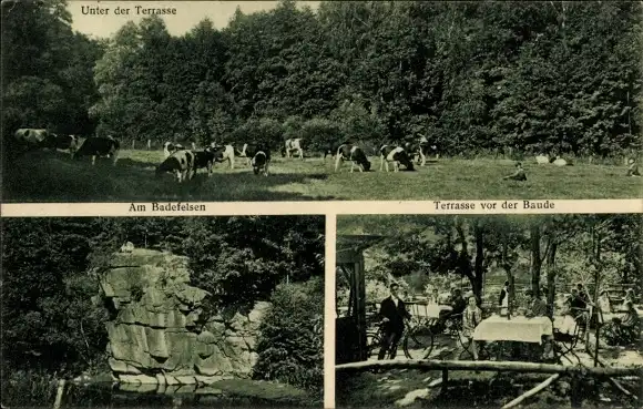 Ak Bautzen in der Oberlausitz, Flinzbaude am Abgott, Badefelsen, Terrasse, Kuhweide