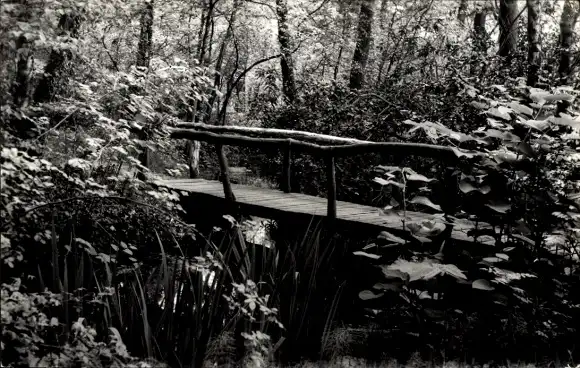 Ak De Lutte Overijssel, Vakantieoord Het Nijehuss, Brücke