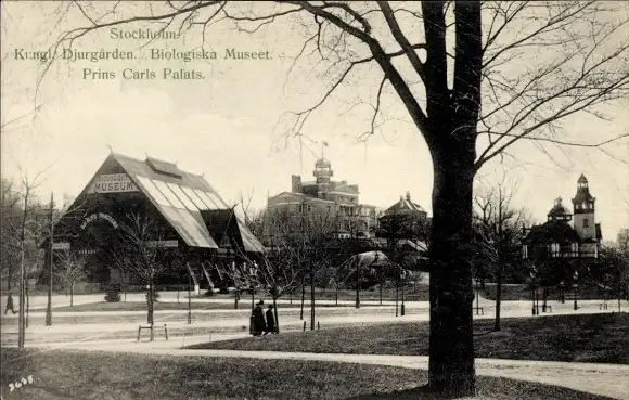 Ak Stockholm Schweden, Kongl. Djurgarden, Biologiska Museet, Prins Carls Palats