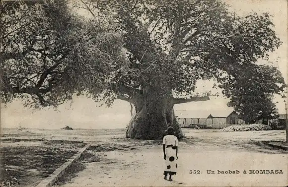 Ak Mombasa Kenia, Dorfpartie, Baobab