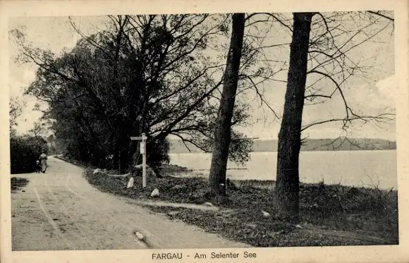 Ak Fargau am Selenter See, Blick auf den See, Weg