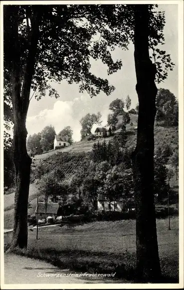 Ak Schwarzenstein Schwarzenbach am Wald Oberfranken, Wegpartie mit Teilansicht von Ortschaft
