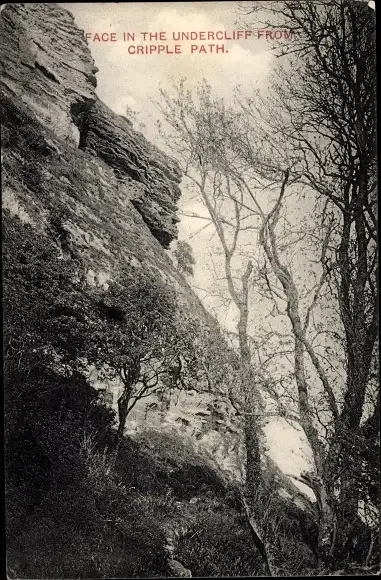 Ak Undercliff Isle of Wight England, Face in the Undercliff from Cripple Path