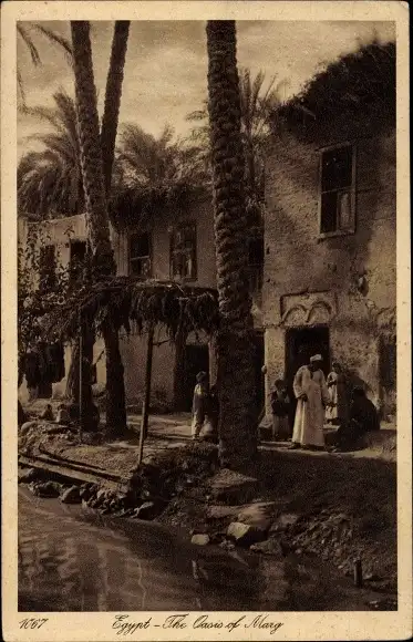 Ak Alexandria Ägypten, Oase von Marg, Palmen