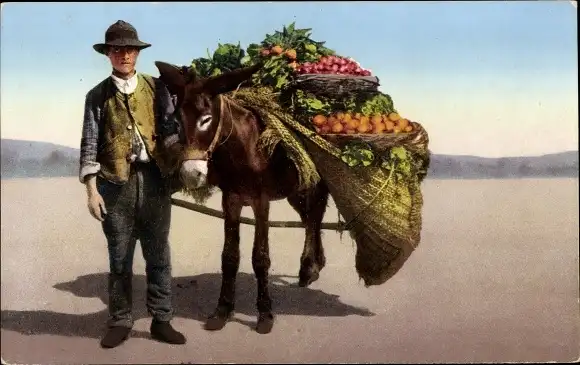 Ak Napoli Neapel Campania, Mann mit Esel, Gemüsehändler