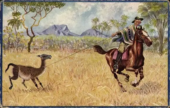 Ak Argentinischer Gaucho fängt mit Lasso Guanacos