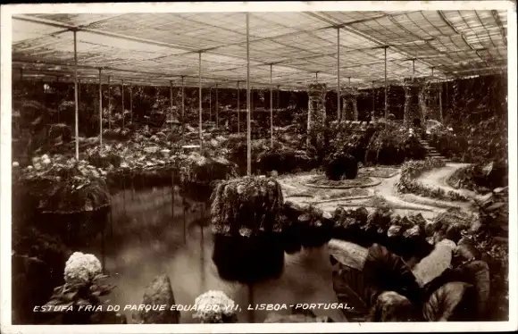 Ak Lisboa Lissabon Portugal, Estufa fria do parque Eduardo VII