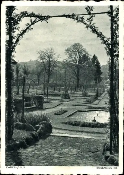 Ak Saverne Zabern Elsass Bas Rhin, Blick in den Rosengarten