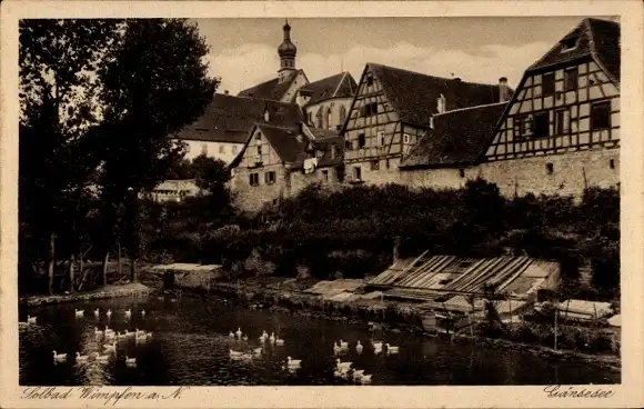 Ak Bad Wimpfen am Neckar, Teilansicht, Enten