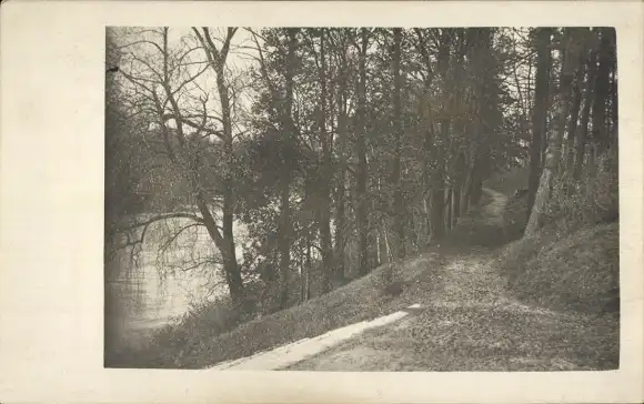 Foto Ak Waldweg, Uferweg am Wasser