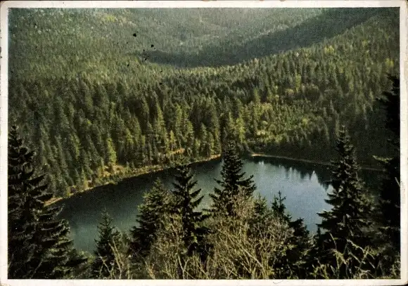 Ak Ruhestein Baiersbronn im Schwarzwald, Panorama, See