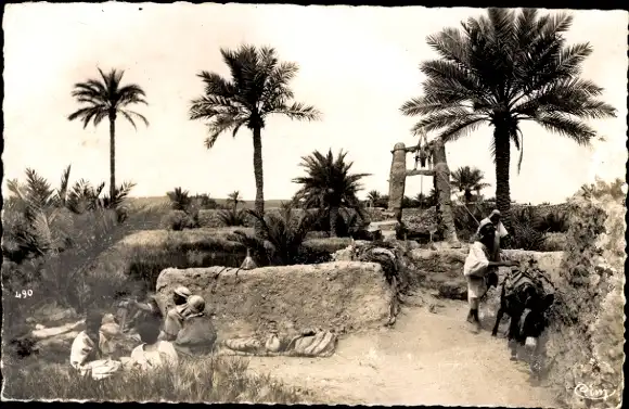 Ak M'zab Algerien, Landschaft mit Brunnen und Palmen