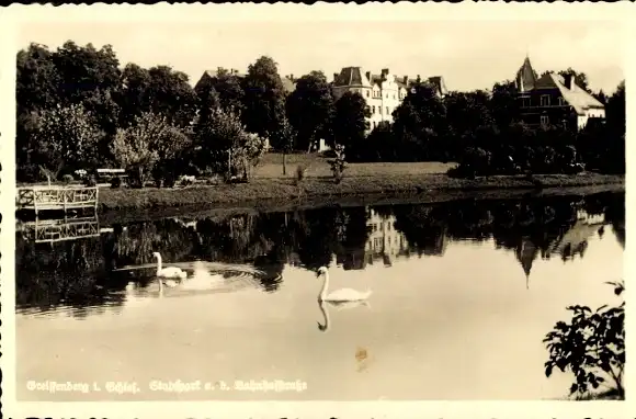 Ak Gryfów Śląski Greiffenberg Schlesien, Stadtpark, Bahnhofstraße