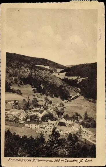 Ak Maria Raisenmarkt Alland Niederösterreich, Panorama