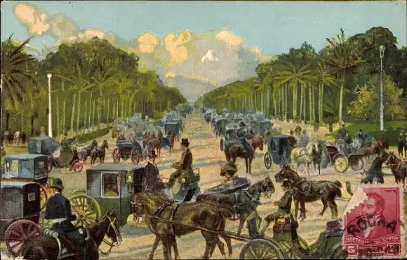 Ak Palmenallee, Verkehr, Kutschen