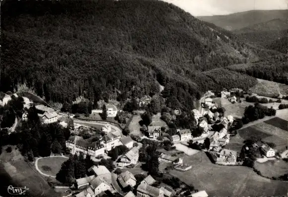 Ak Le Hohwald Elsass Bas Rhin, Panorama, Hotels