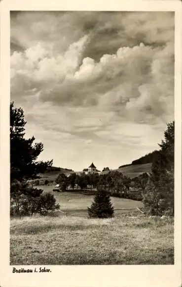 Ak Breitnau im Schwarzwald, Teilansicht