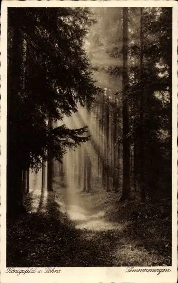 Ak Königsfeld im Schwarzwald Baden, Sommermorgen, Wald