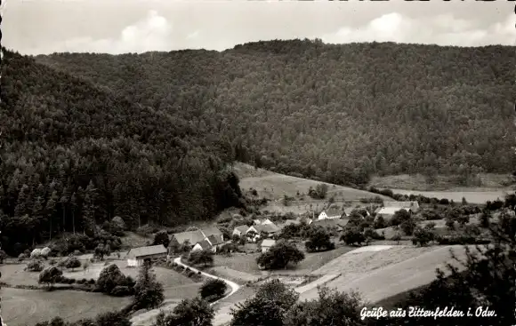 Ak Zittenfelden Schneeberg im Odenwald Unterfranken, Panorama