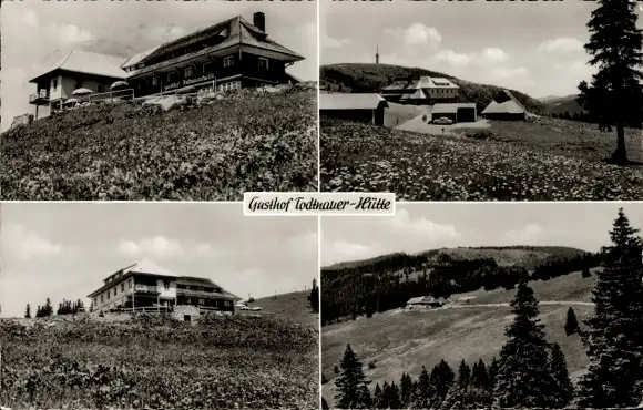 Ak Feldberg im Schwarzwald, Gasthof Todtnauer-Hütte, Panorama