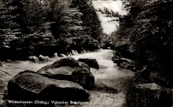 Ak Wildeshausen in Niedersachsen, Visbecker Bräutigam, Wald, Großsteingrab