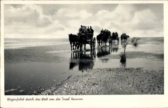 Ak Insel Neuwerk, Wagenfahrt, Watt