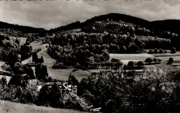 Ak Neusatzeck Bühl in Baden Schwarzwald, Panorama