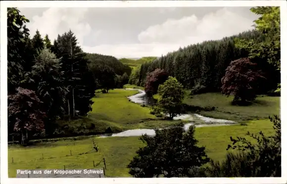 Ak Kroppach im Westerwald, Panorama