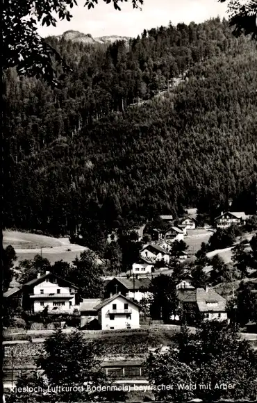 Ak Bodenmais in Niederbayern, Arber, Panorama