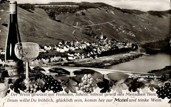 Ak Zeltingen an der Mosel, Panorama, Wein