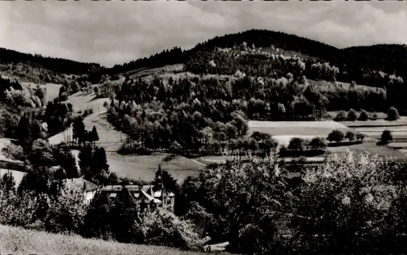 Ak Neusatzeck Bühl in Baden Schwarzwald, Panorama