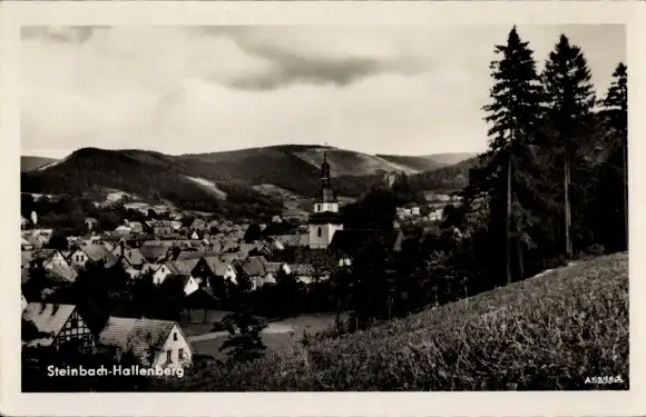 Ak Steinbach Hallenberg im Thüringer Wald, Panorama