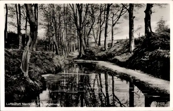 Ak Nastätten im Taunus, Wanderpfad, Gewässer