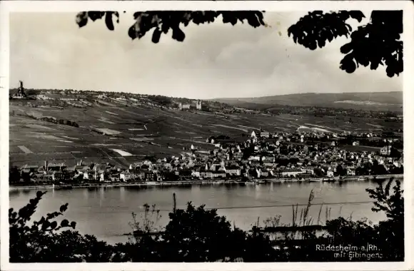 Ak Rüdesheim am Rhein, Panorama, Eibingen