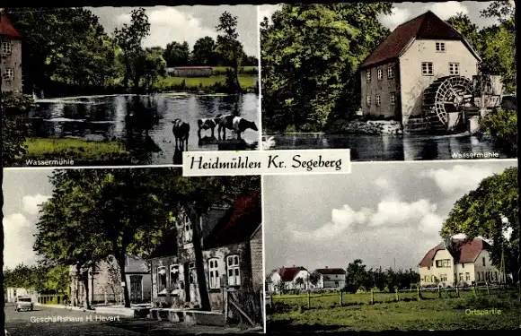 Ak Heidmühlen in Holstein, Wassermühle, Geschäftshaus H. Hevert