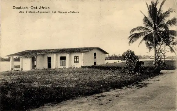 Ak Daressalam Dar es Salaam Tansania, Tiefsee-Aquarium, Deutsch-Ost-Afrika