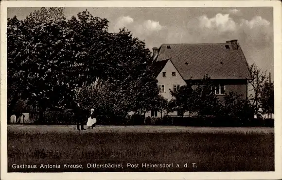 Ak Dětřichovec Dittersbächel Reg. Reichenberg, Gasthaus