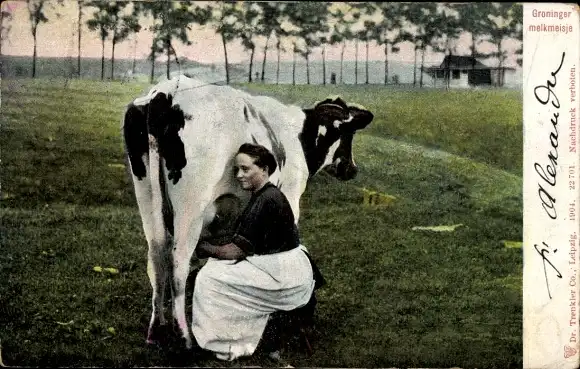 Ak Groningen, Melkmeisje, Melkerin, Kuh